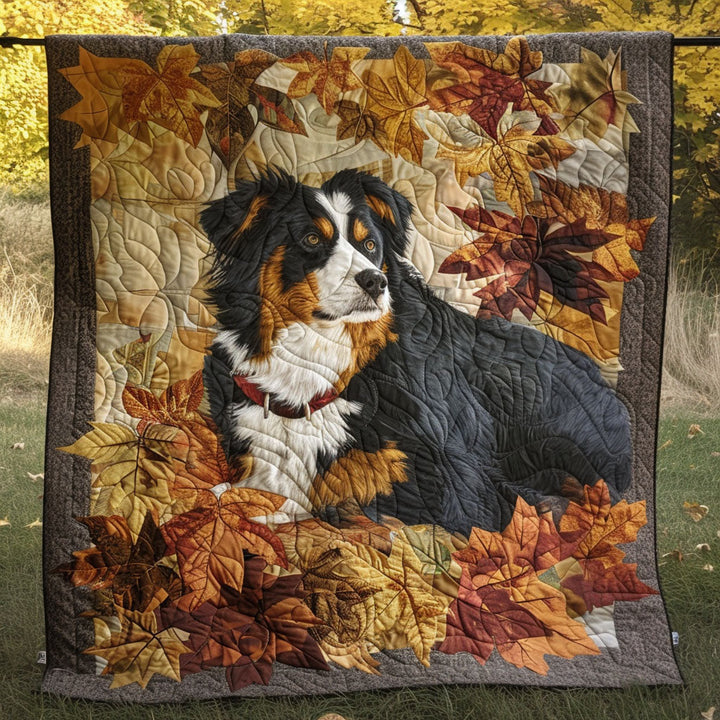 Couverture Amber Fetch