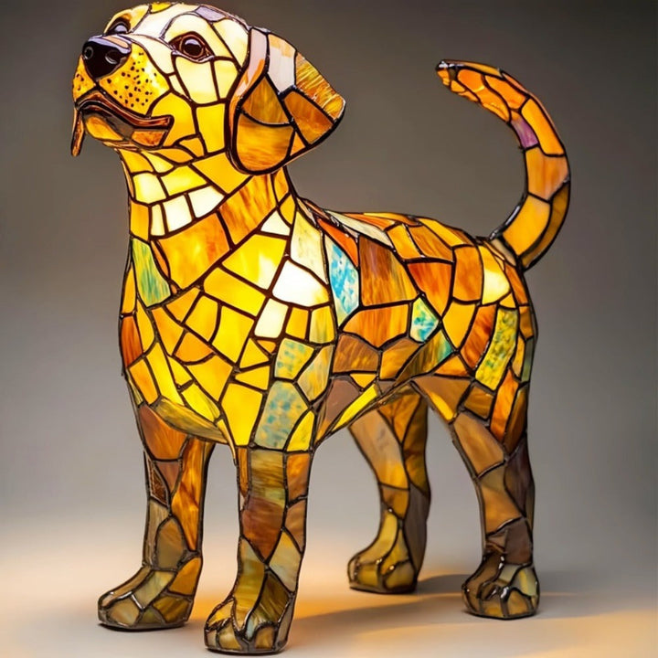 Labrador translucide