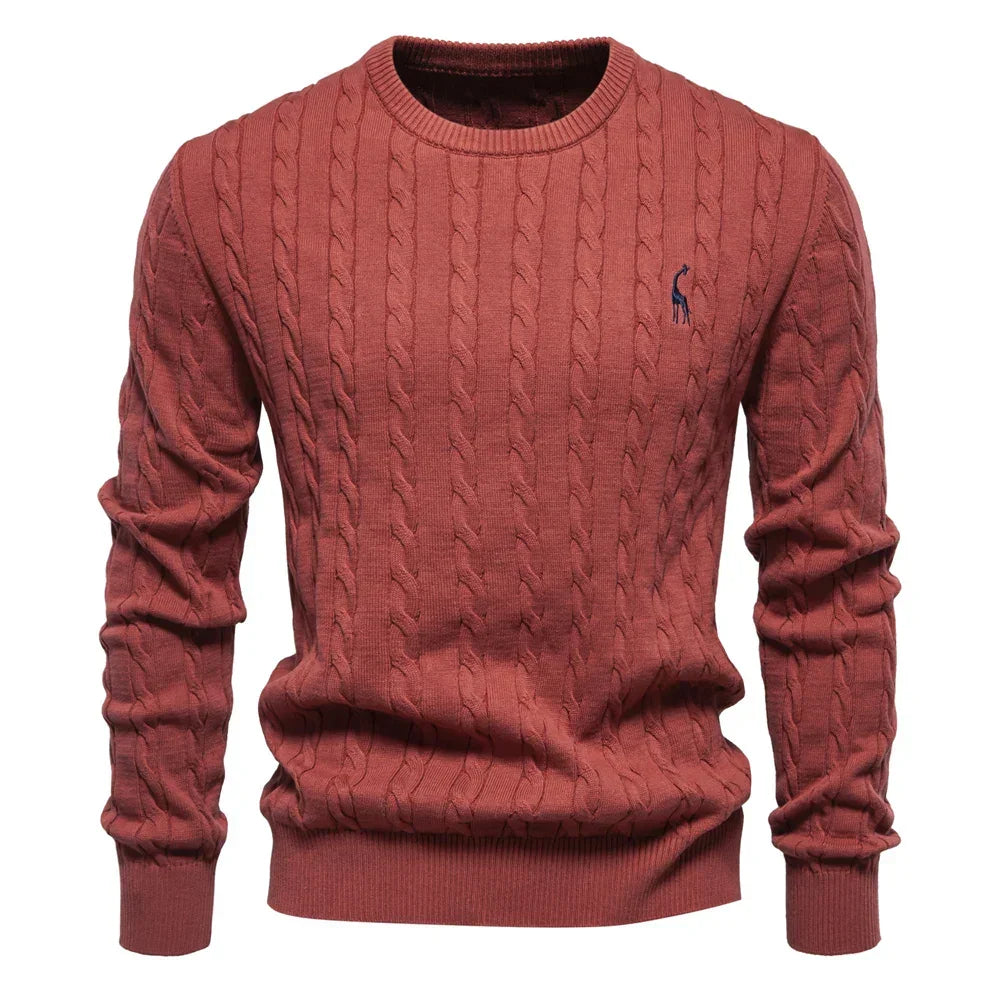 Rogier | Pull Élégant pour Hommes