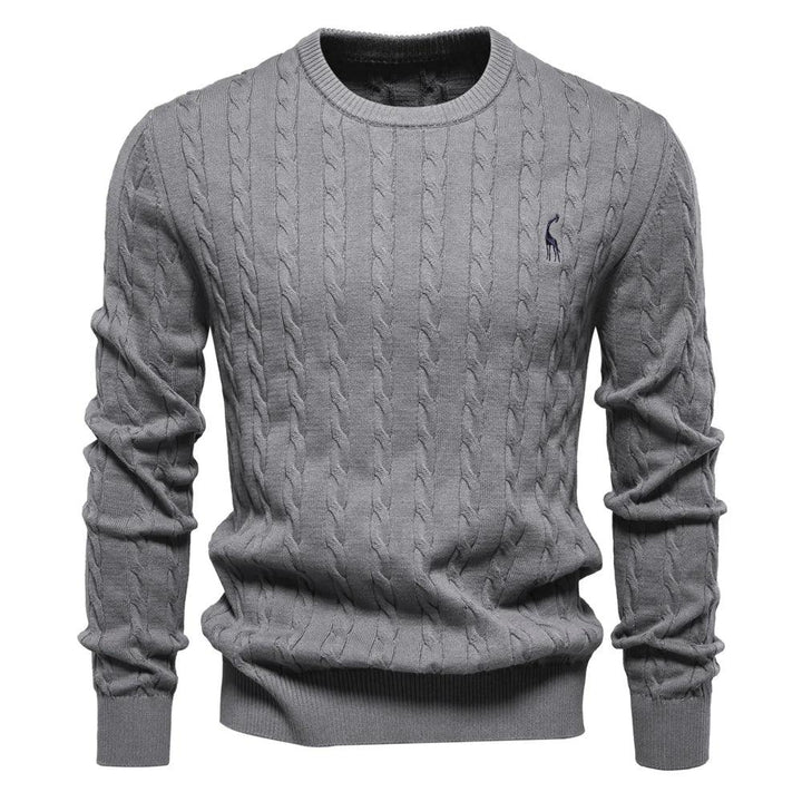 Rogier | Pull Élégant pour Hommes