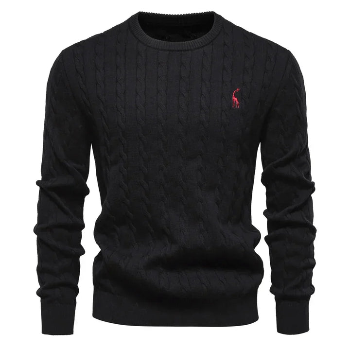 Rogier | Pull Élégant pour Hommes