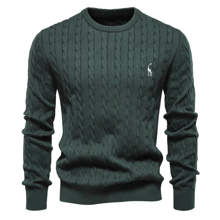 Rogier | Pull Élégant pour Hommes